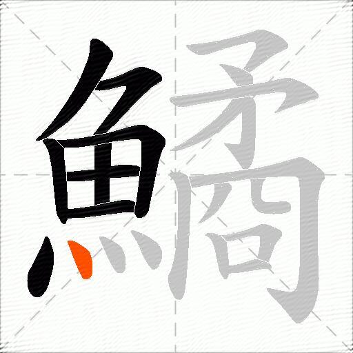 鱊