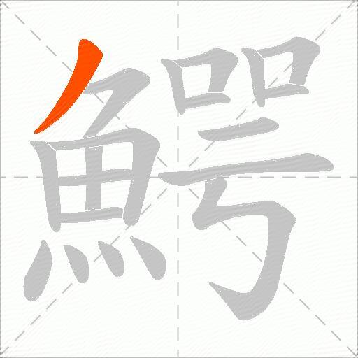 鰐