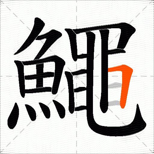 鱦