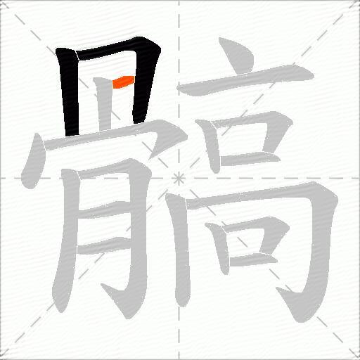 髇