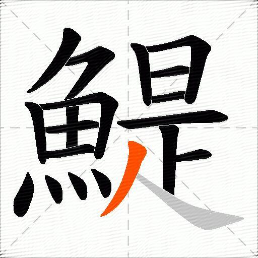 鯷