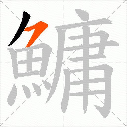 鱅