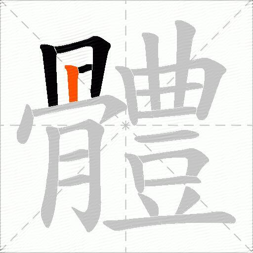 體