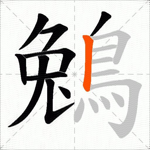 鵵