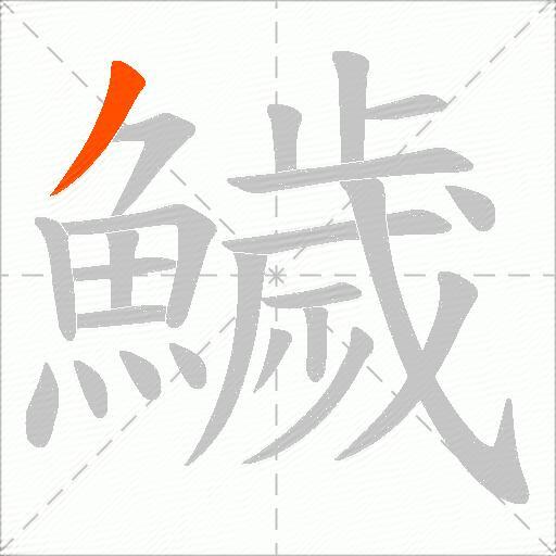 鱥