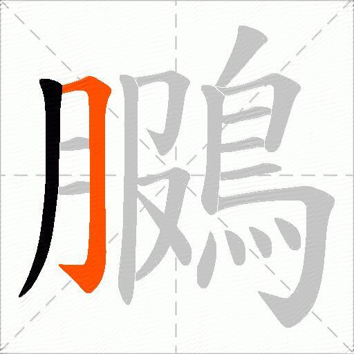 鵩