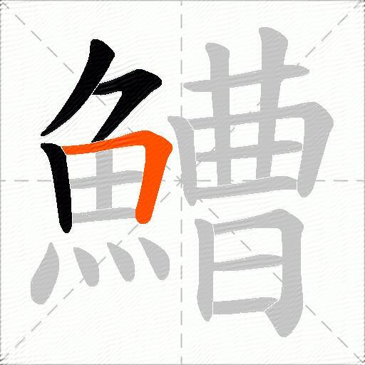 鰽