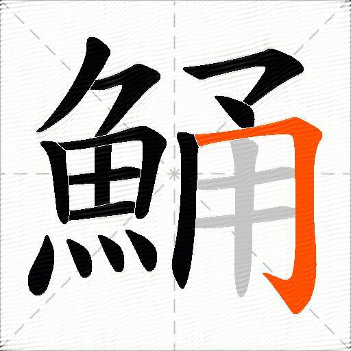 鯒
