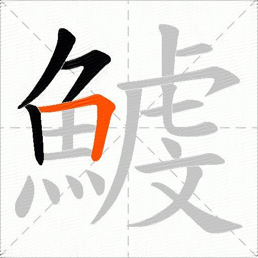 鰬