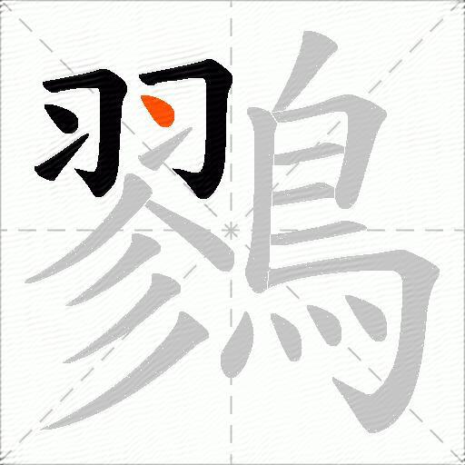 鷚