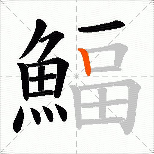 鰏
