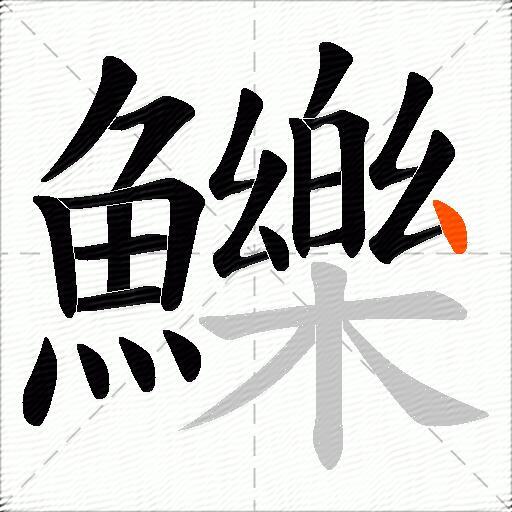鱳