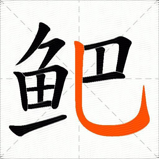 鲃