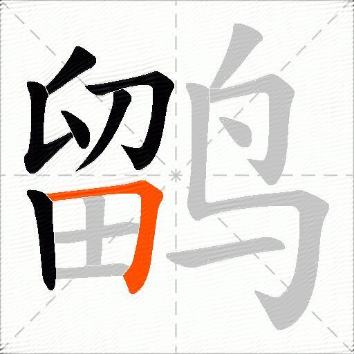 鹠