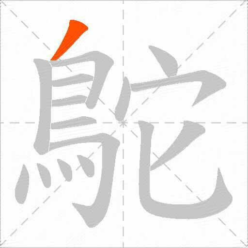 鴕