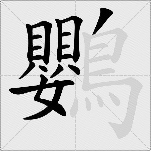 鸚